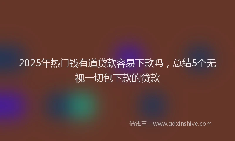 2025年热门钱有道贷款容易下款吗，总结5个无视一切包下款的贷款