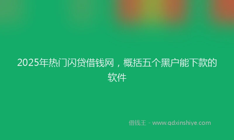 2025年热门闪贷借钱网，概括五个黑户能下款的软件
