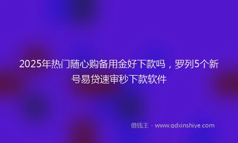 2025年热门随心购备用金好下款吗，罗列5个新号易贷速审秒下款软件