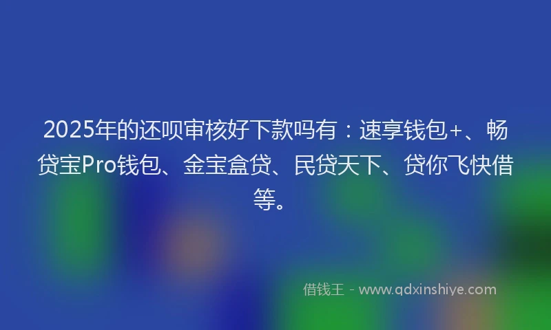 2025年的还呗审核好下款吗有：速享钱包+、畅贷宝Pro钱包、金宝盒贷、民贷天下、贷你飞快借等。