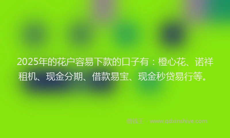 2025年的花户容易下款的口子有：橙心花、诺祥租机、现金分期、借款易宝、现金秒贷易行等。