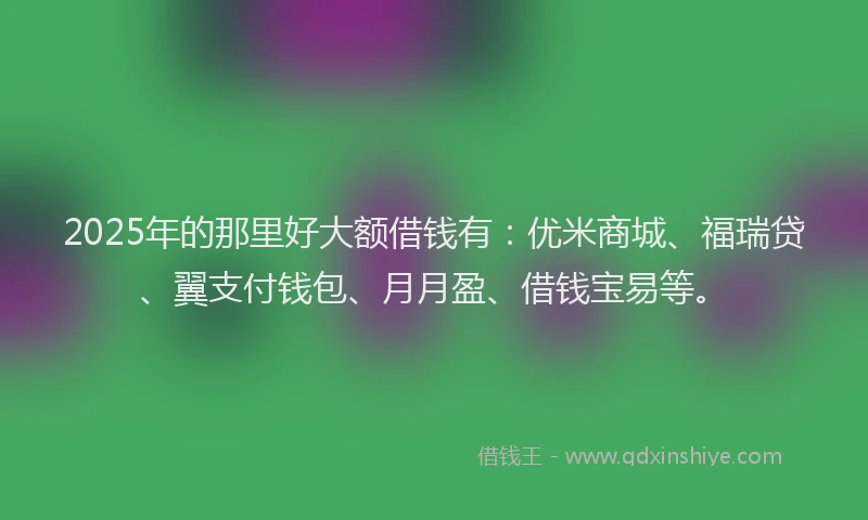 2025年的那里好大额借钱有：优米商城、福瑞贷、翼支付钱包、月月盈、借钱宝易等。