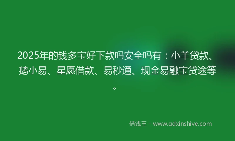 2025年的钱多宝好下款吗安全吗有：小羊贷款、鹅小易、星愿借款、易秒通、现金易融宝贷途等。