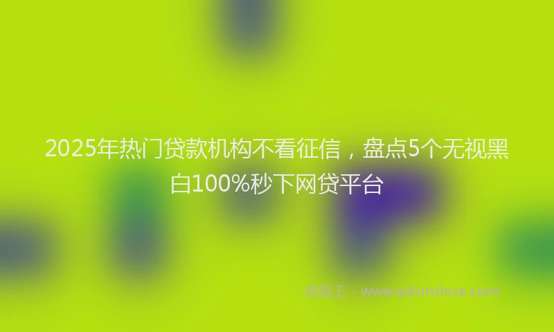 2025年热门贷款机构不看征信，盘点5个无视黑白100%秒下网贷平台