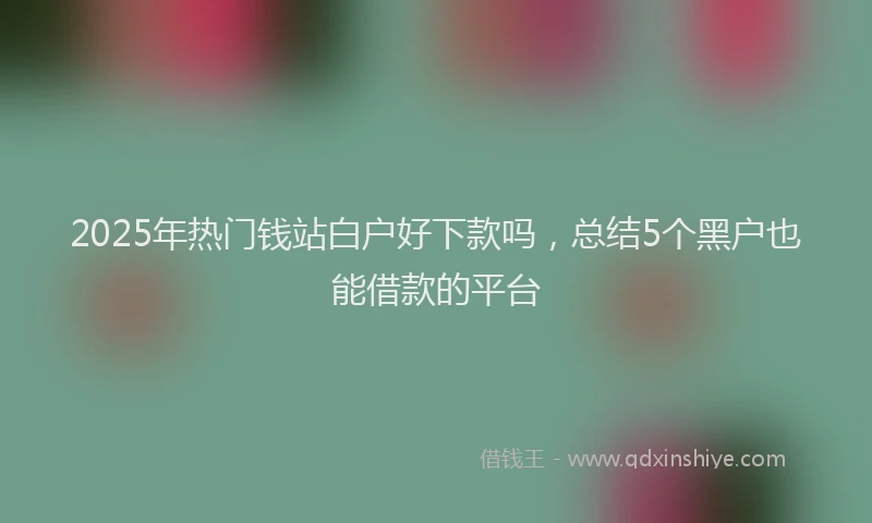 2025年热门钱站白户好下款吗，总结5个黑户也能借款的平台