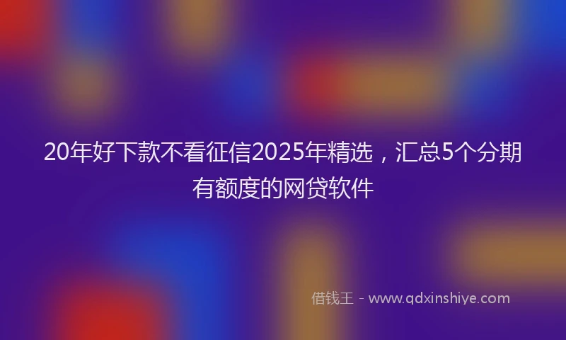 20年好下款不看征信2025年精选，汇总5个分期有额度的网贷软件