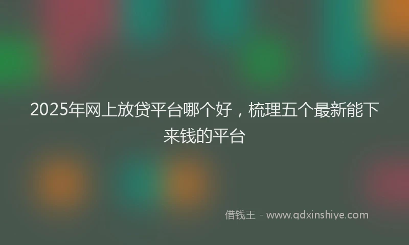 2025年网上放贷平台哪个好，梳理五个最新能下来钱的平台