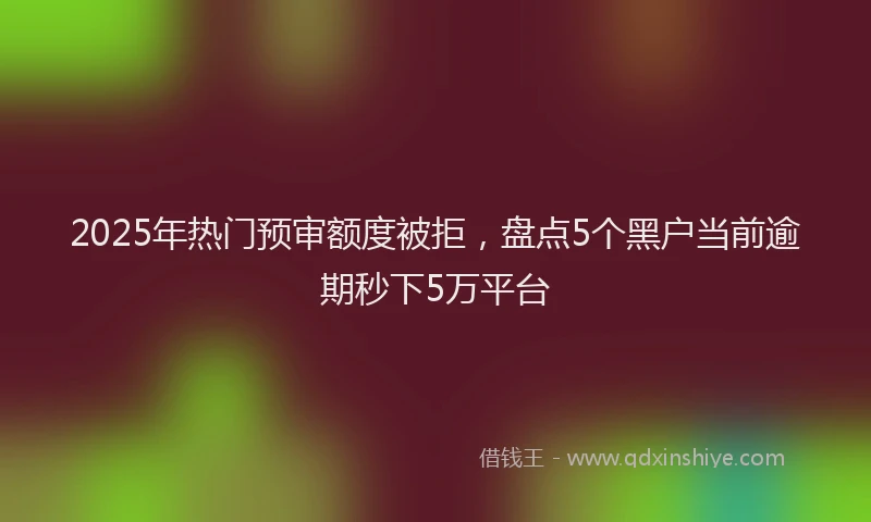 2025年热门预审额度被拒，盘点5个黑户当前逾期秒下5万平台