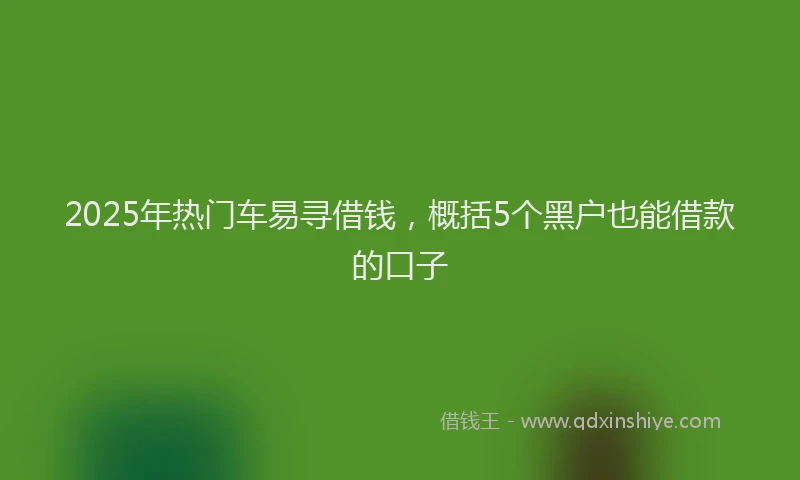 2025年热门车易寻借钱，概括5个黑户也能借款的口子