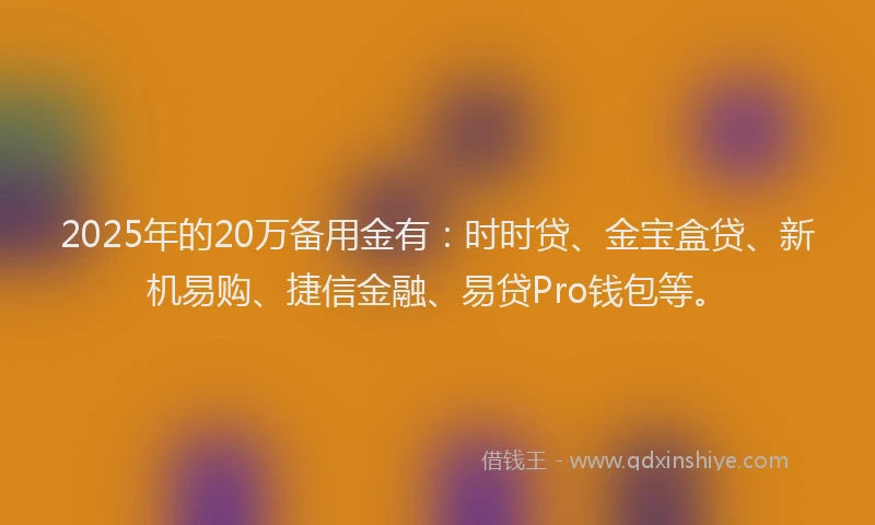 2025年的20万备用金有：时时贷、金宝盒贷、新机易购、捷信金融、易贷Pro钱包等。