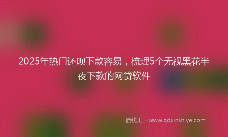 2025年热门还呗下款容易，梳理5个无视黑花半夜下款的网贷软件