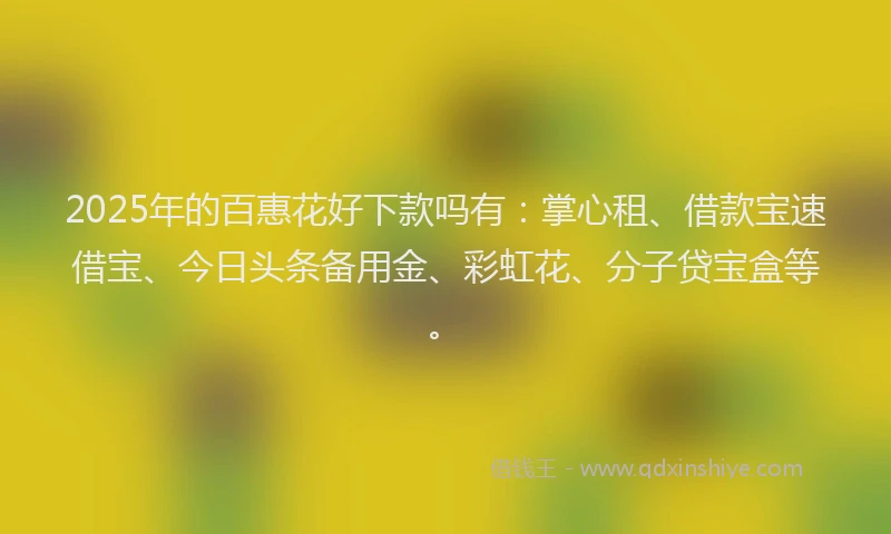 2025年的百惠花好下款吗有：掌心租、借款宝速借宝、今日头条备用金、彩虹花、分子贷宝盒等。