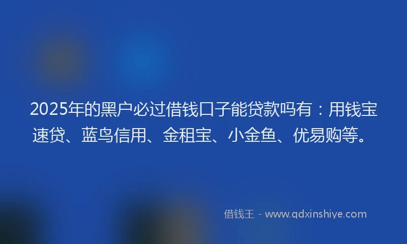 2025年的黑户必过借钱口子能贷款吗有：用钱宝速贷、蓝鸟信用、金租宝、小金鱼、优易购等。