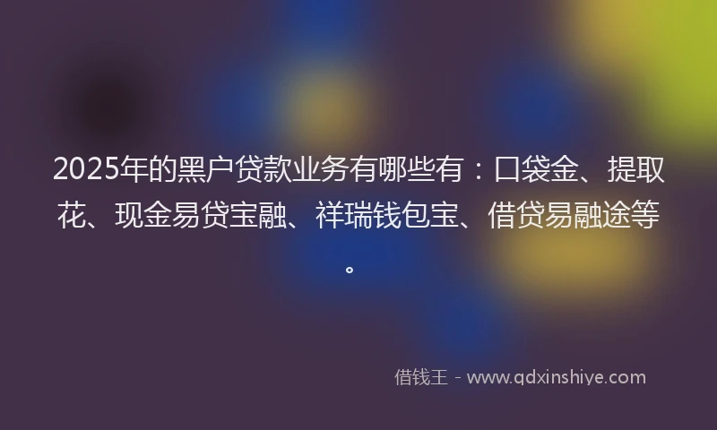2025年的黑户贷款业务有哪些有：口袋金、提取花、现金易贷宝融、祥瑞钱包宝、借贷易融途等。
