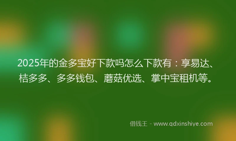 2025年的金多宝好下款吗怎么下款有：享易达、桔多多、多多钱包、蘑菇优选、掌中宝租机等。