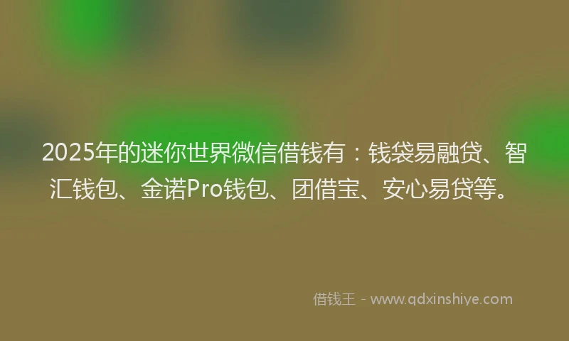2025年的迷你世界微信借钱有：钱袋易融贷、智汇钱包、金诺Pro钱包、团借宝、安心易贷等。