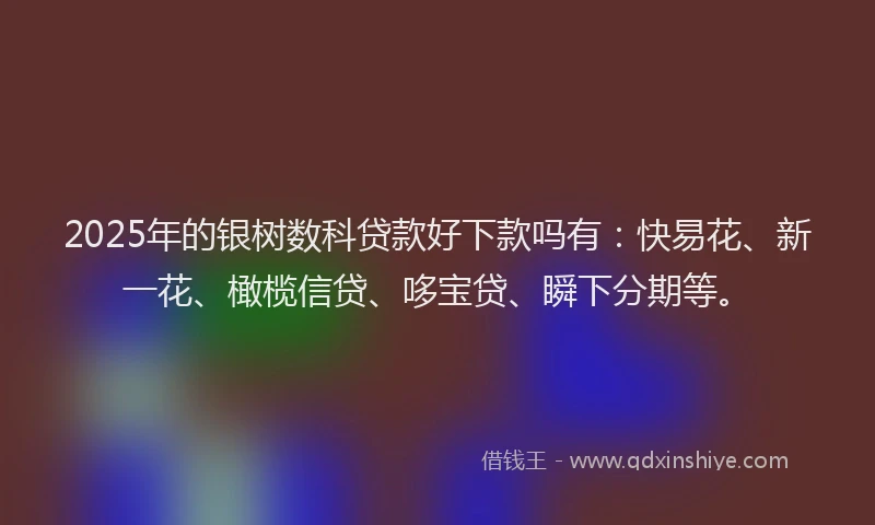 2025年的银树数科贷款好下款吗有：快易花、新一花、橄榄信贷、哆宝贷、瞬下分期等。