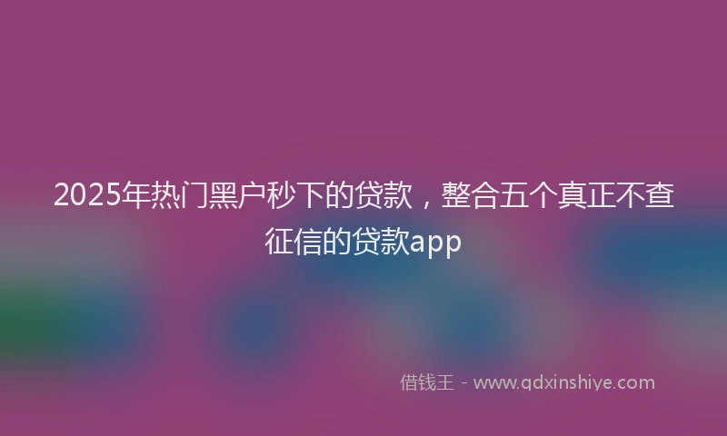 2025年热门黑户秒下的贷款，整合五个真正不查征信的贷款app