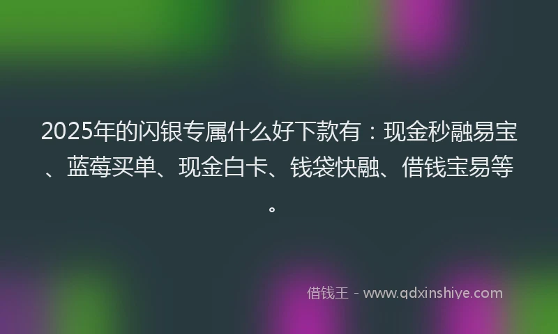 2025年的闪银专属什么好下款有：现金秒融易宝、蓝莓买单、现金白卡、钱袋快融、借钱宝易等。