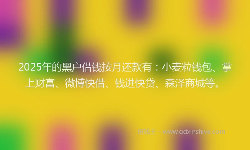 2025年的黑户借钱按月还款有：小麦粒钱包、掌上财富、微博快借、钱进快贷、森泽商城等。