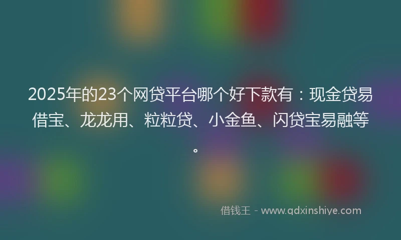 2025年的23个网贷平台哪个好下款有：现金贷易借宝、龙龙用、粒粒贷、小金鱼、闪贷宝易融等。