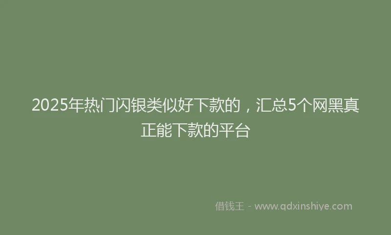 2025年热门闪银类似好下款的，汇总5个网黑真正能下款的平台
