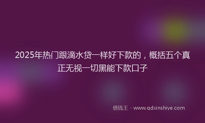 2025年热门跟滴水贷一样好下款的，概括五个真正无视一切黑能下款口子