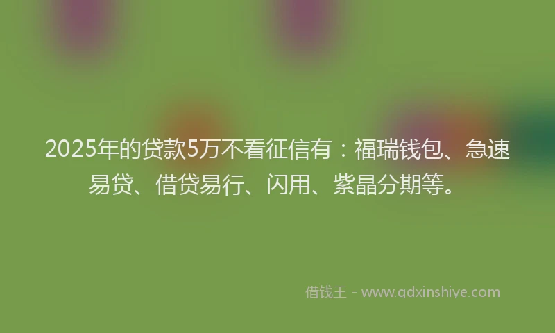 2025年的贷款5万不看征信有：福瑞钱包、急速易贷、借贷易行、闪用、紫晶分期等。