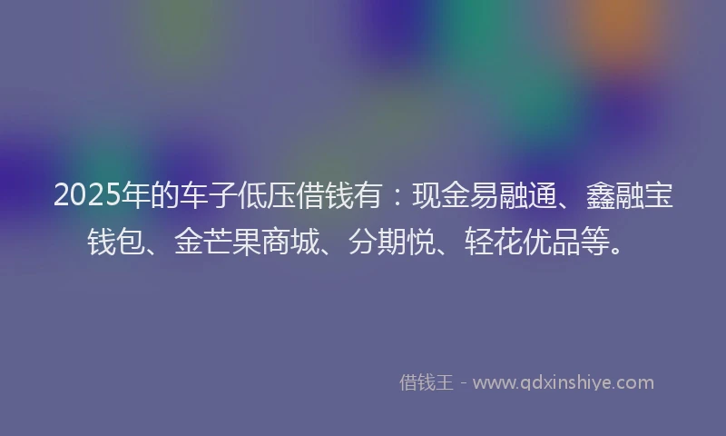 2025年的车子低压借钱有：现金易融通、鑫融宝钱包、金芒果商城、分期悦、轻花优品等。