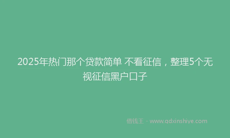 2025年热门那个贷款简单 不看征信，整理5个无视征信黑户口子