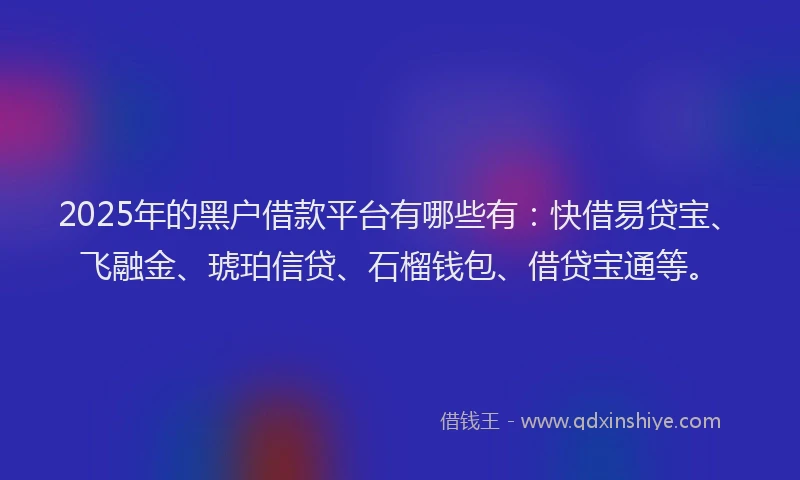 2025年的黑户借款平台有哪些有：快借易贷宝、飞融金、琥珀信贷、石榴钱包、借贷宝通等。