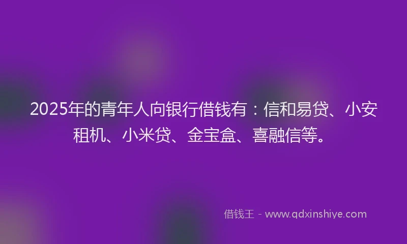 2025年的青年人向银行借钱有：信和易贷、小安租机、小米贷、金宝盒、喜融信等。