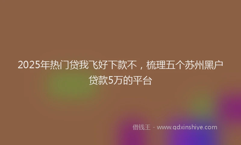 2025年热门贷我飞好下款不，梳理五个苏州黑户贷款5万的平台
