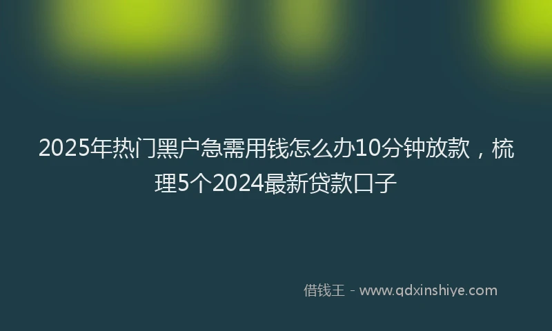 2025年热门黑户急需用钱怎么办10分钟放款，梳理5个2024最新贷款口子