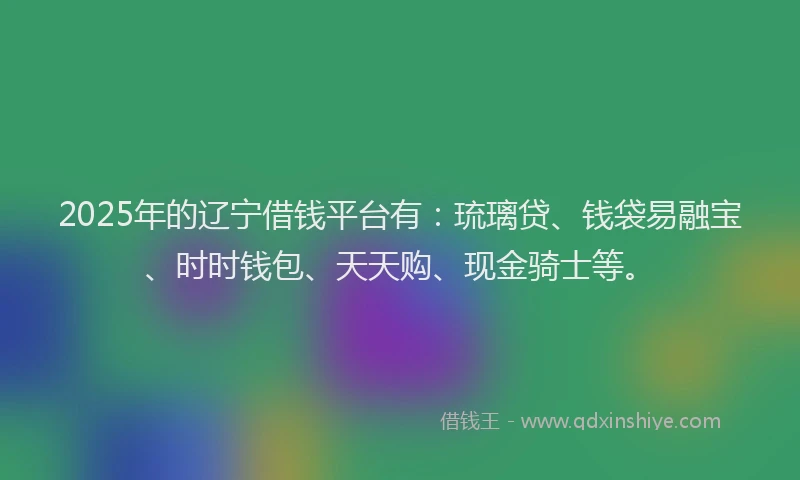 2025年的辽宁借钱平台有：琉璃贷、钱袋易融宝、时时钱包、天天购、现金骑士等。