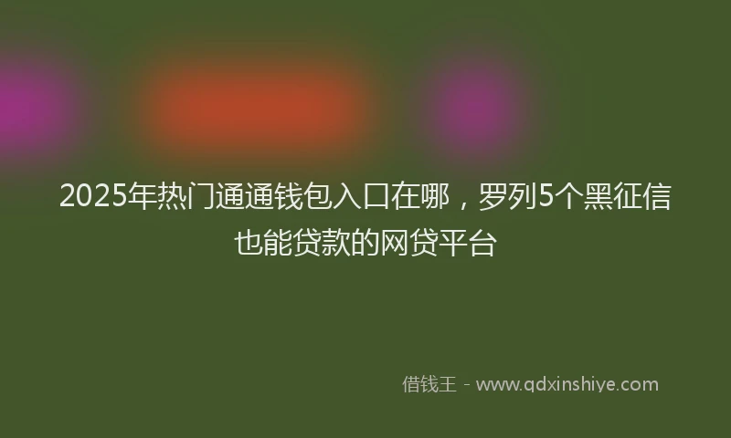 2025年热门通通钱包入口在哪，罗列5个黑征信也能贷款的网贷平台