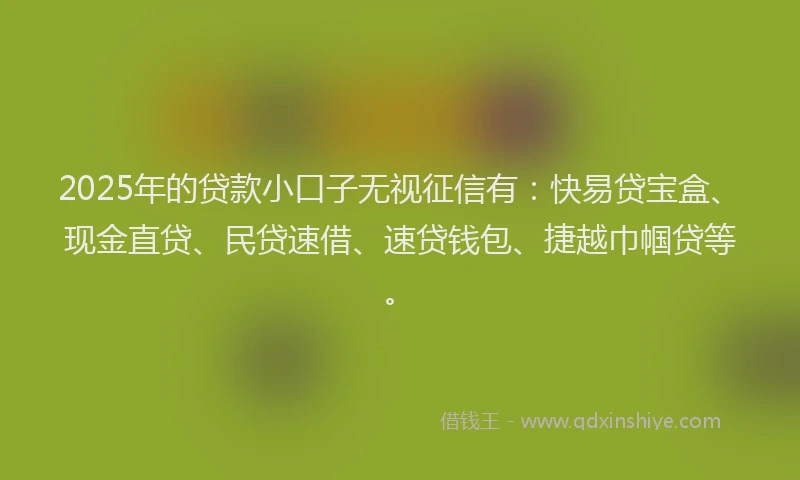 2025年的贷款小口子无视征信有：快易贷宝盒、现金直贷、民贷速借、速贷钱包、捷越巾帼贷等。