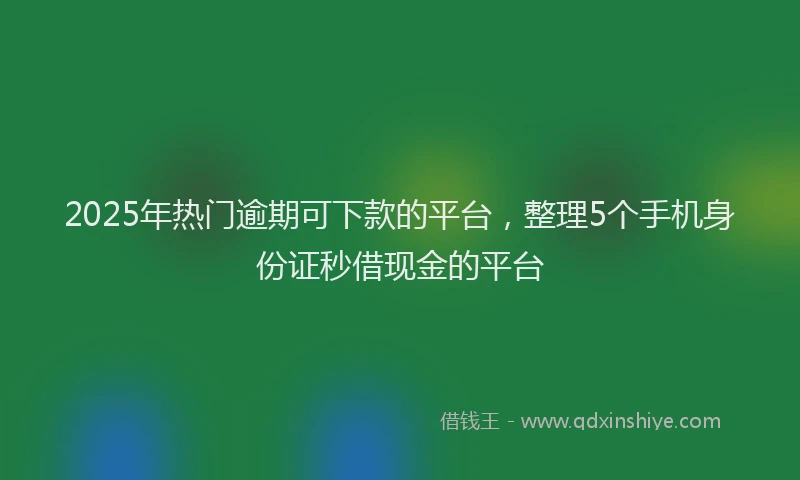 2025年热门逾期可下款的平台，整理5个手机身份证秒借现金的平台