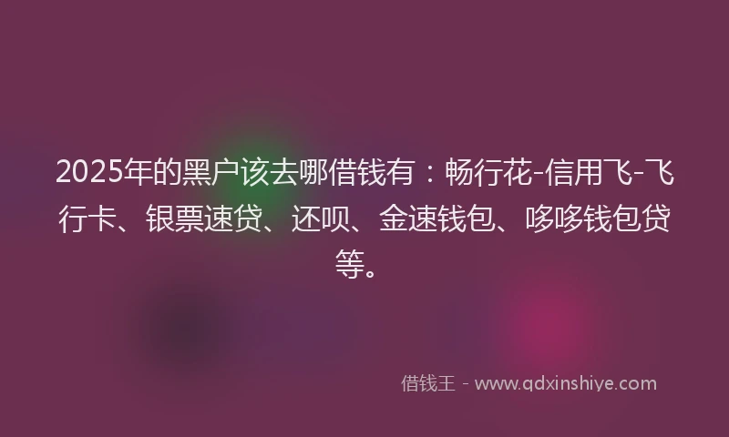 2025年的黑户该去哪借钱有：畅行花-信用飞-飞行卡、银票速贷、还呗、金速钱包、哆哆钱包贷等。