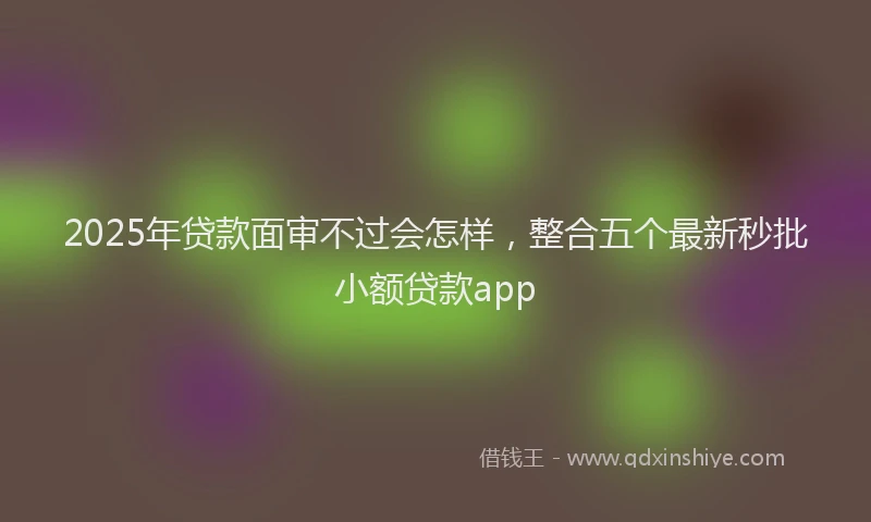 2025年贷款面审不过会怎样，整合五个最新秒批小额贷款app
