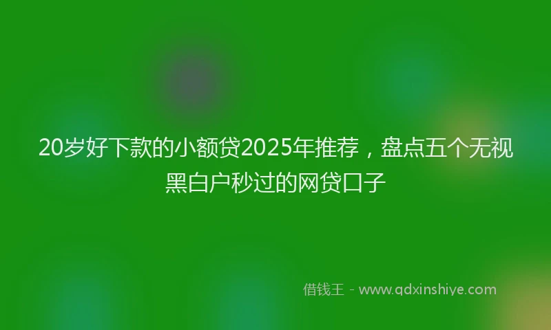 20岁好下款的小额贷2025年推荐，盘点五个无视黑白户秒过的网贷口子