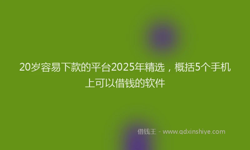 20岁容易下款的平台2025年精选，概括5个手机上可以借钱的软件