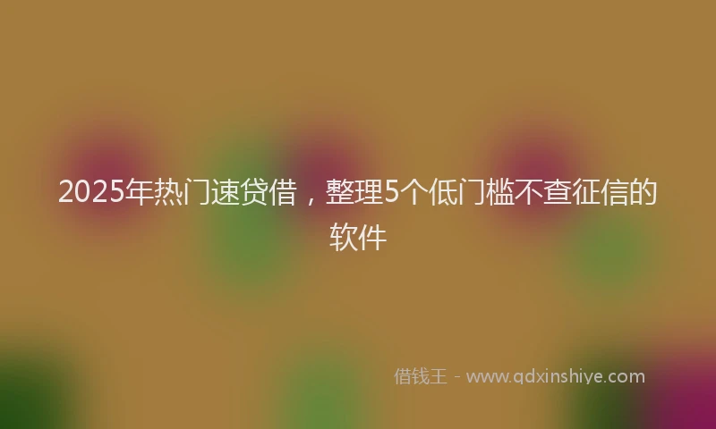 2025年热门速贷借，整理5个低门槛不查征信的软件