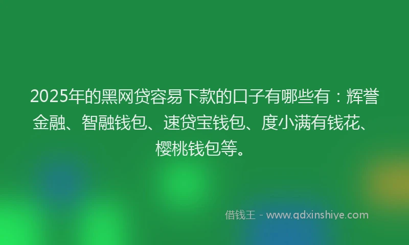 2025年的黑网贷容易下款的口子有哪些有：辉誉金融、智融钱包、速贷宝钱包、度小满有钱花、樱桃钱包等。