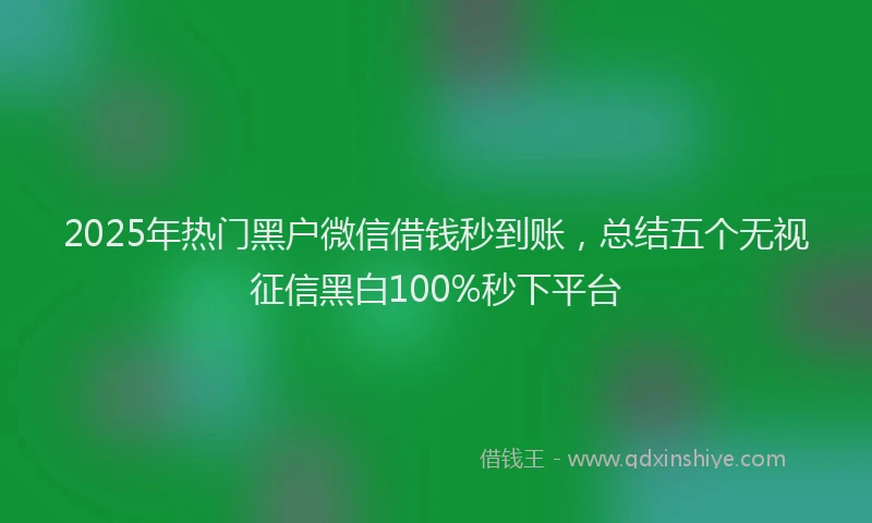2025年热门黑户微信借钱秒到账，总结五个无视征信黑白100%秒下平台