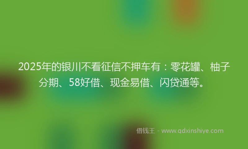 2025年的银川不看征信不押车有：零花罐、柚子分期、58好借、现金易借、闪贷通等。