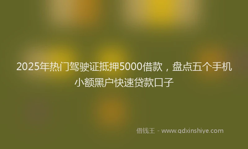 2025年热门驾驶证抵押5000借款，盘点五个手机小额黑户快速贷款口子