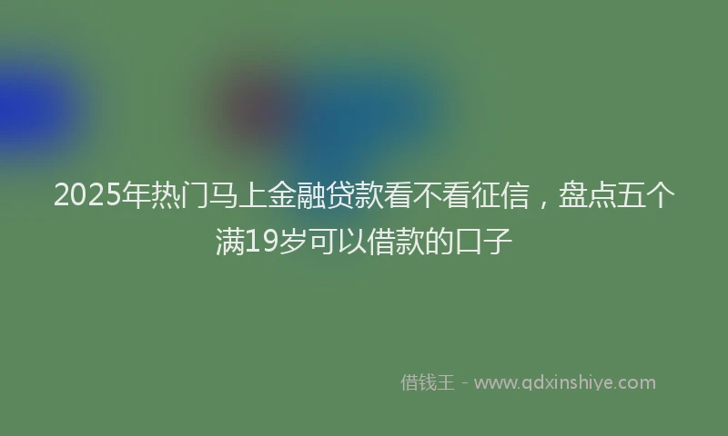 2025年热门马上金融贷款看不看征信，盘点五个满19岁可以借款的口子