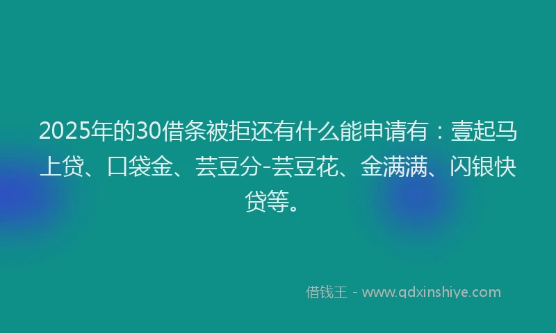 2025年的30借条被拒还有什么能申请有：壹起马上贷、口袋金、芸豆分-芸豆花、金满满、闪银快贷等。