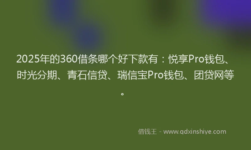 2025年的360借条哪个好下款有：悦享Pro钱包、时光分期、青石信贷、瑞信宝Pro钱包、团贷网等。